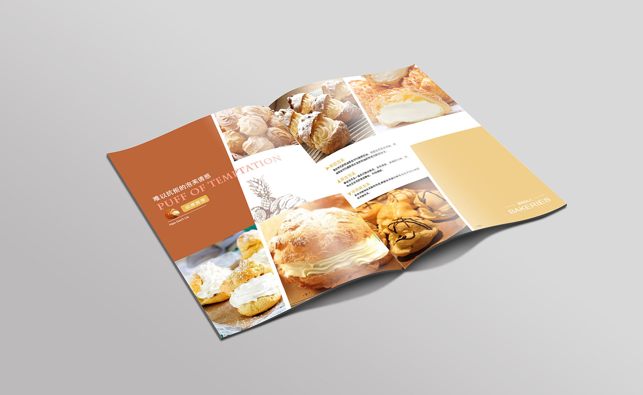 Coustom paper product catalogue and compang's brochure