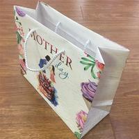 Custome Printed Holiday Gift Paper bags