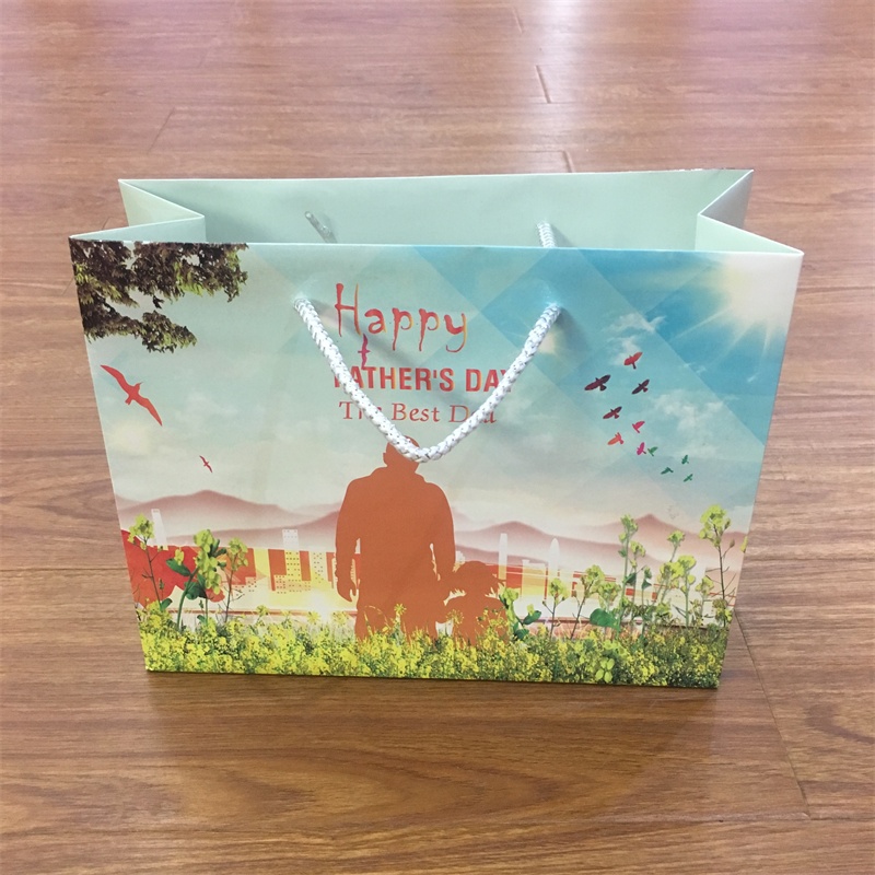 China Supplier Custom Gift Paper Bags With PP Handle